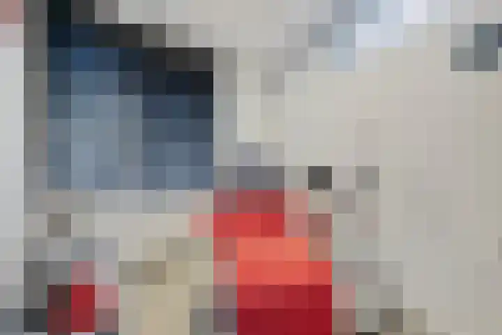 Wilhelminastraat 50 Didam thumbnail 19
