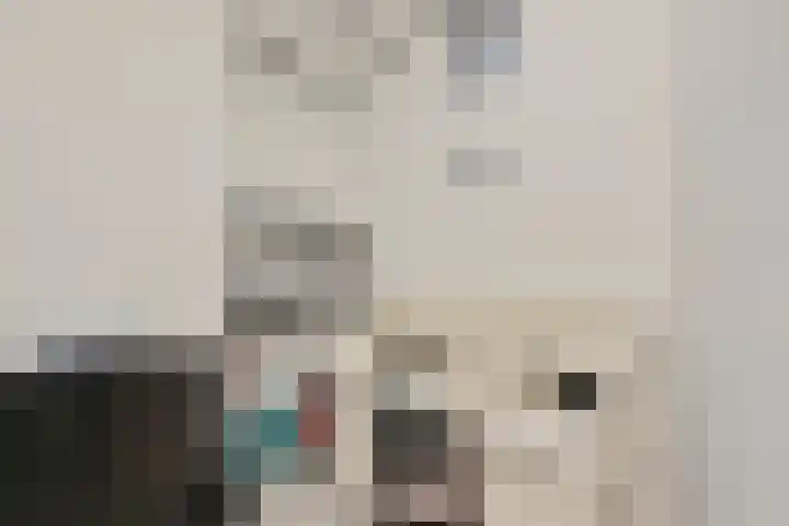 Wilhelminastraat 50 Didam thumbnail 20