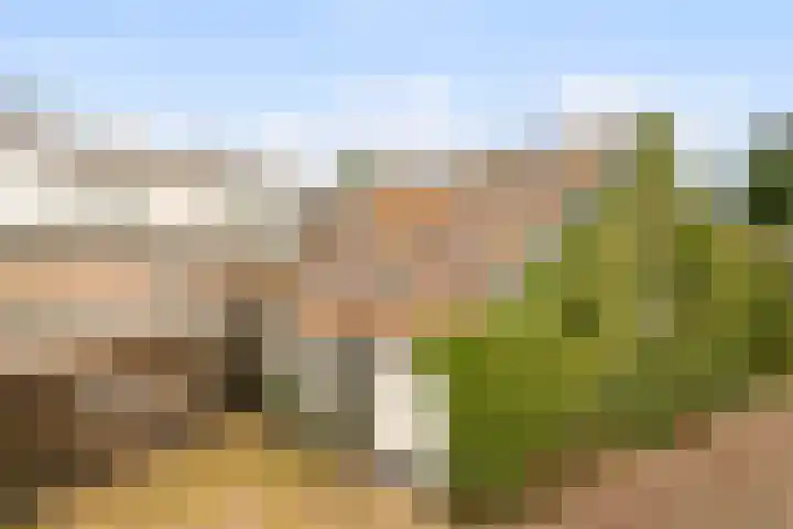 Wilhelminastraat 50 Didam thumbnail 21