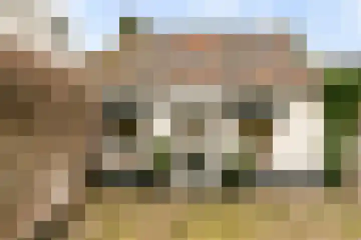 Wilhelminastraat 50 Didam thumbnail 22