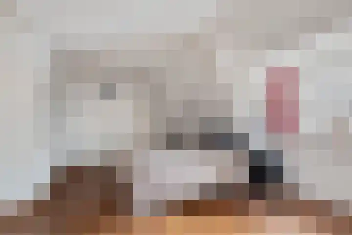 Wilhelminastraat 50 Didam thumbnail 27