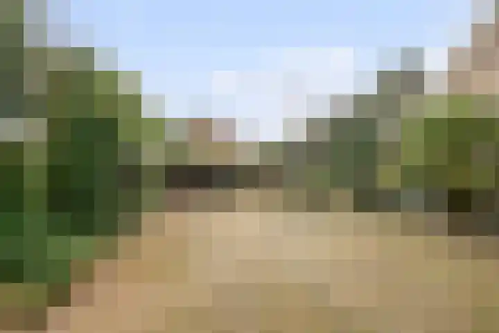 Wilhelminastraat 50 Didam thumbnail 30