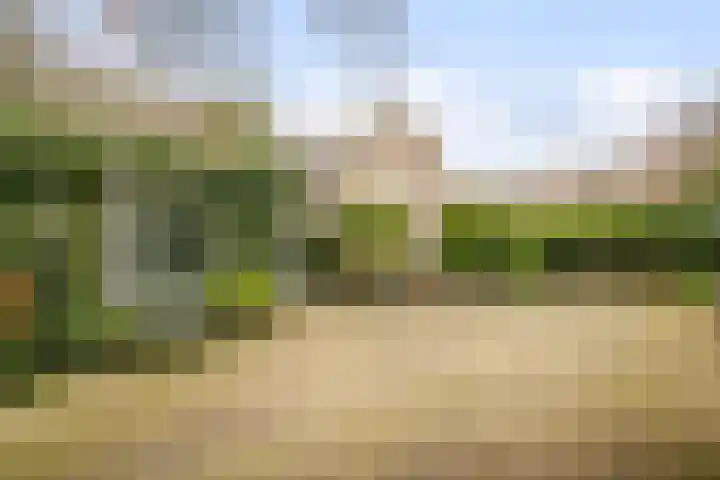 Wilhelminastraat 50 Didam thumbnail 31