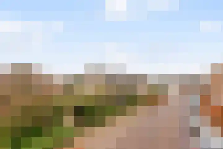 Wilhelminastraat 50 Didam thumbnail 32