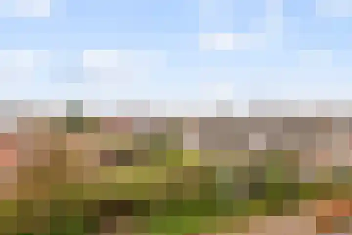 Wilhelminastraat 50 Didam thumbnail 33