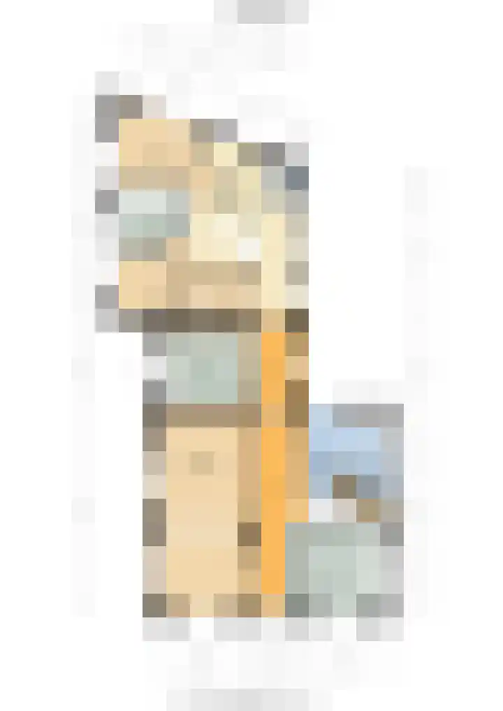 Wilhelminastraat 50 Didam thumbnail 34