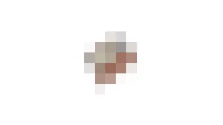 Wilhelminastraat 50 Didam thumbnail 39