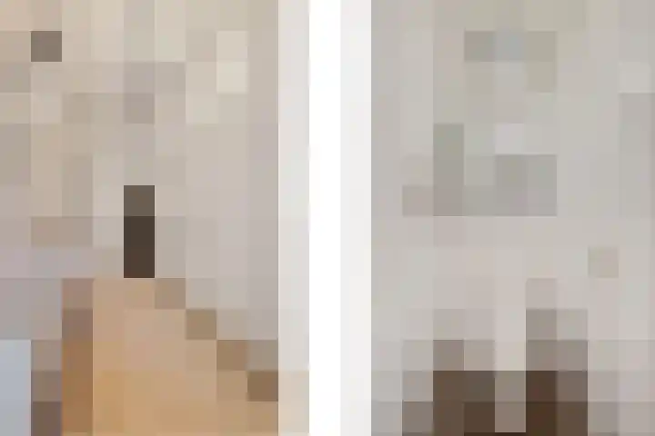 Wilhelminastraat 50 Didam thumbnail 5
