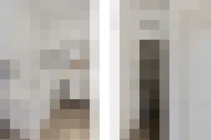 Wilhelminastraat 50 Didam thumbnail 6