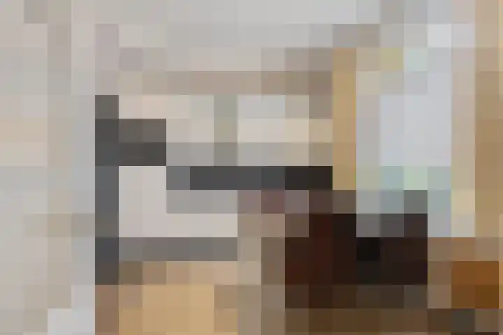 Wilhelminastraat 50 Didam thumbnail 7