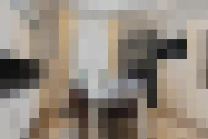 Wilhelminastraat 50 Didam thumbnail 8