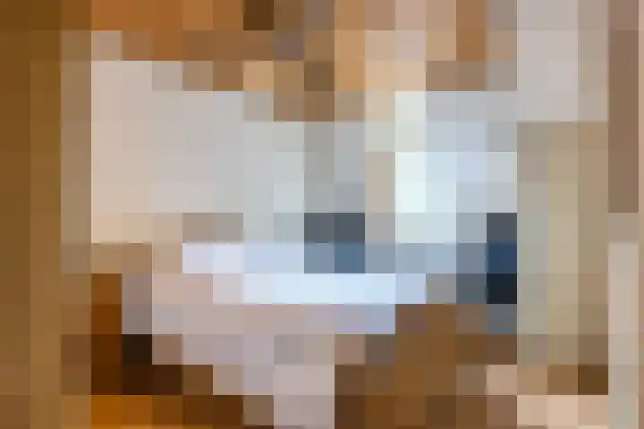 Wilhelminastraat 50 Dongen thumbnail 17