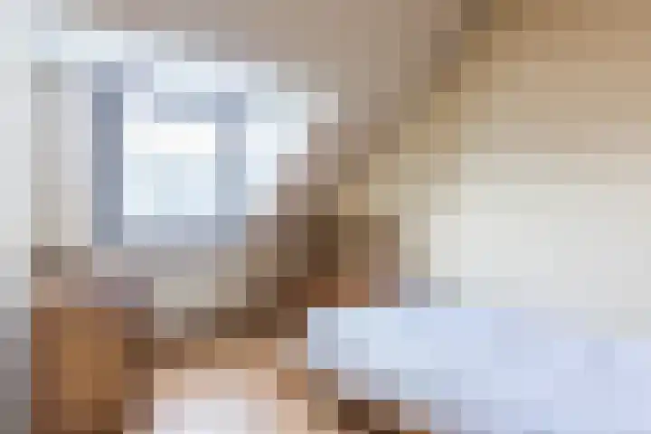 Wilhelminastraat 50 Dongen thumbnail 19