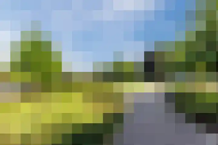 Wilhelminastraat 50 Dongen thumbnail 26