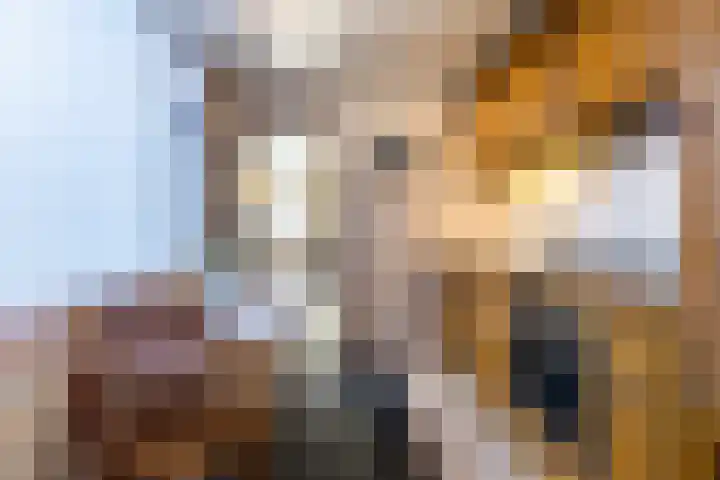 Wilhelminastraat 50 Dongen thumbnail 4