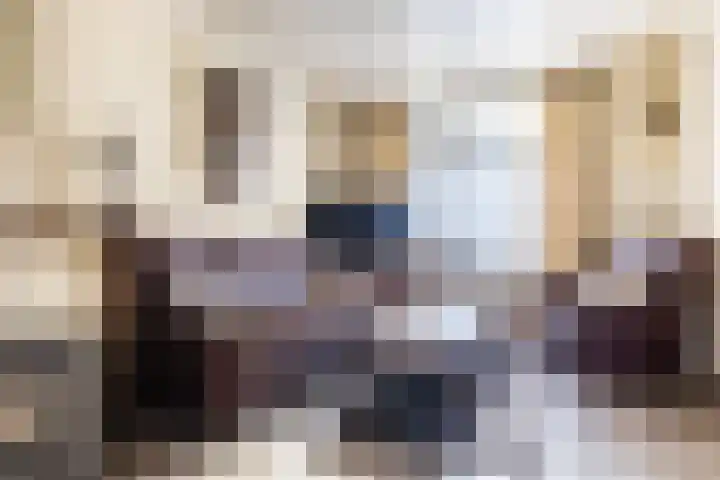 Wilhelminastraat 50 Dongen thumbnail 7