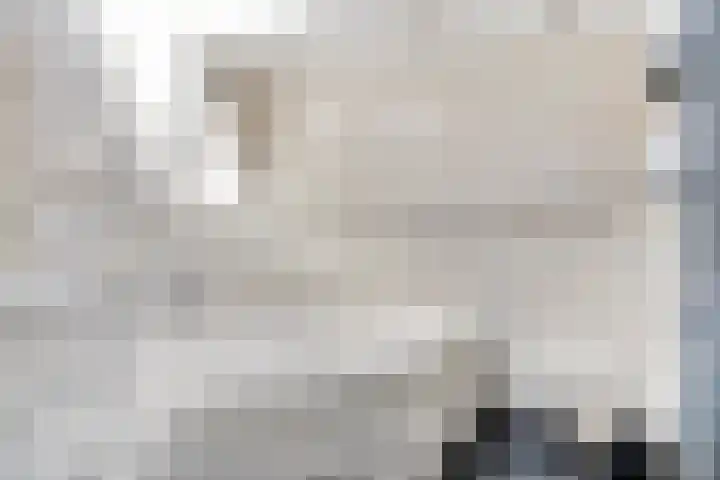 Wilhelminastraat 50 Krabbendijke thumbnail 12