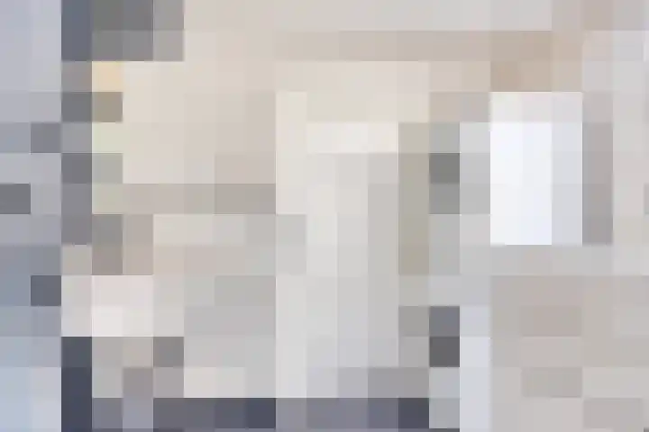 Wilhelminastraat 50 Krabbendijke thumbnail 13