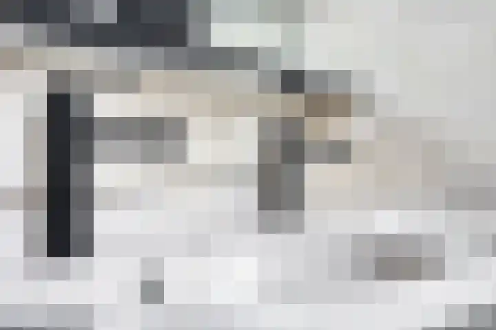 Wilhelminastraat 50 Krabbendijke thumbnail 14
