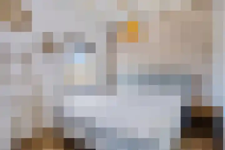 Wilhelminastraat 50 Krabbendijke thumbnail 18