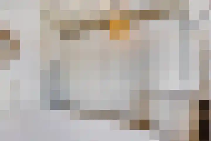 Wilhelminastraat 50 Krabbendijke thumbnail 19