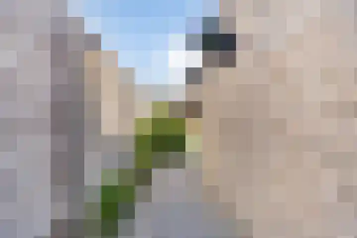 Wilhelminastraat 50 Krabbendijke thumbnail 22