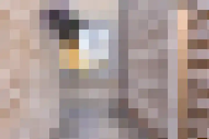 Wilhelminastraat 50 Krabbendijke thumbnail 23
