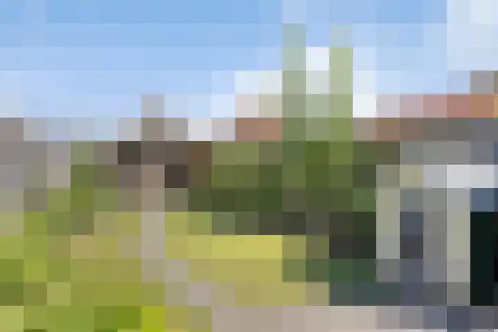 Wilhelminastraat 50 Krabbendijke thumbnail 24