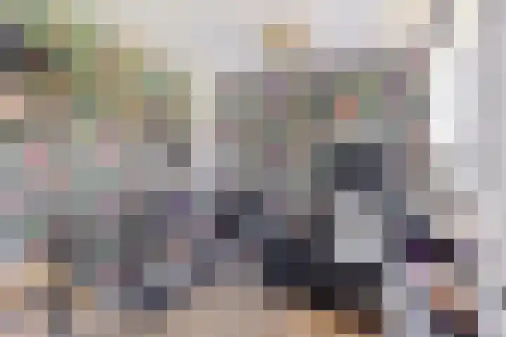 Wilhelminastraat 50 Krabbendijke thumbnail 26