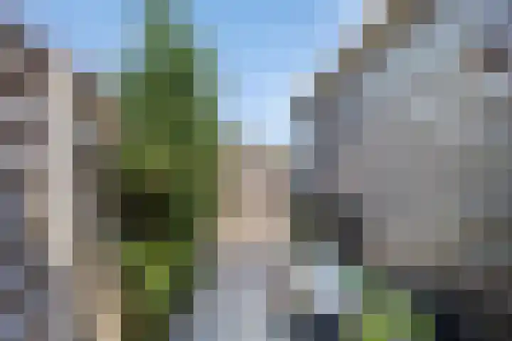 Wilhelminastraat 50 Krabbendijke thumbnail 29
