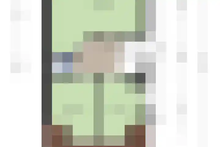 Wilhelminastraat 50 Krabbendijke thumbnail 36