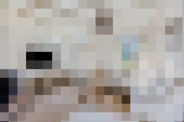 Wilhelminastraat 50 Krabbendijke thumbnail 6