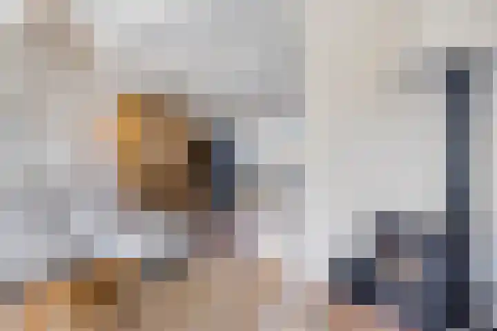 Wilhelminastraat 50 Krabbendijke thumbnail 7