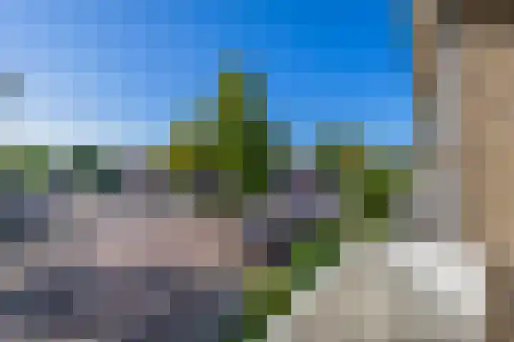 Wilhelminastraat 50 Lisse thumbnail 20