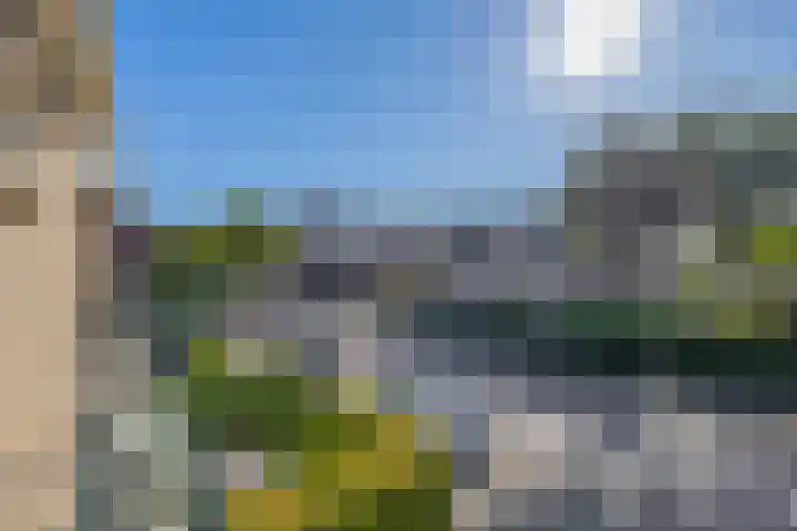 Wilhelminastraat 50 Lisse thumbnail 21