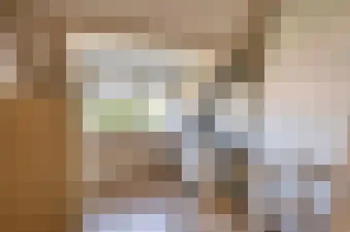 Wilhelminastraat 50 Lisse thumbnail 26