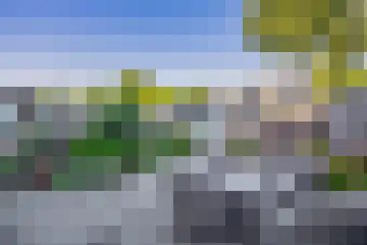 Wilhelminastraat 50 Lisse thumbnail 29