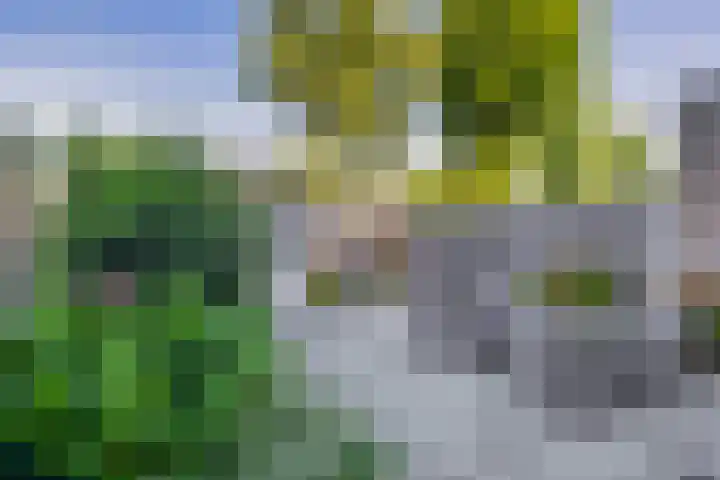 Wilhelminastraat 50 Lisse thumbnail 30