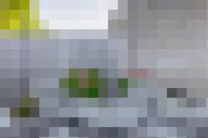 Wilhelminastraat 50 Lisse thumbnail 33