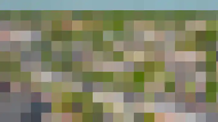 Wilhelminastraat 50 Lisse thumbnail 35