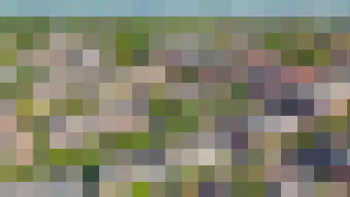 Wilhelminastraat 50 Lisse thumbnail 36