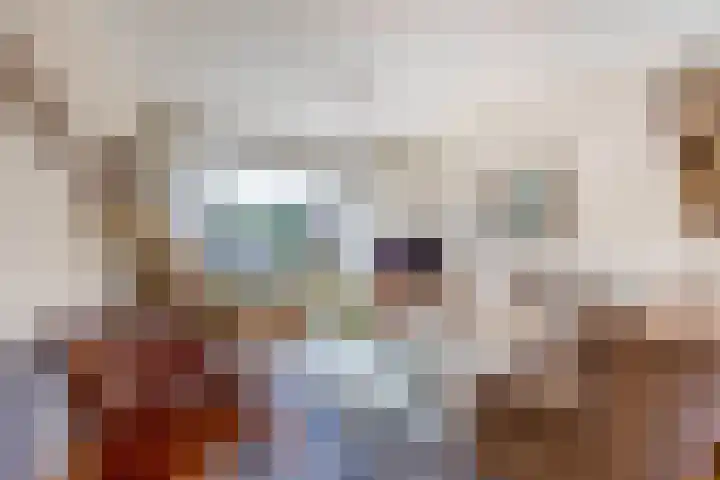 Wilhelminastraat 50 Lisse thumbnail 7
