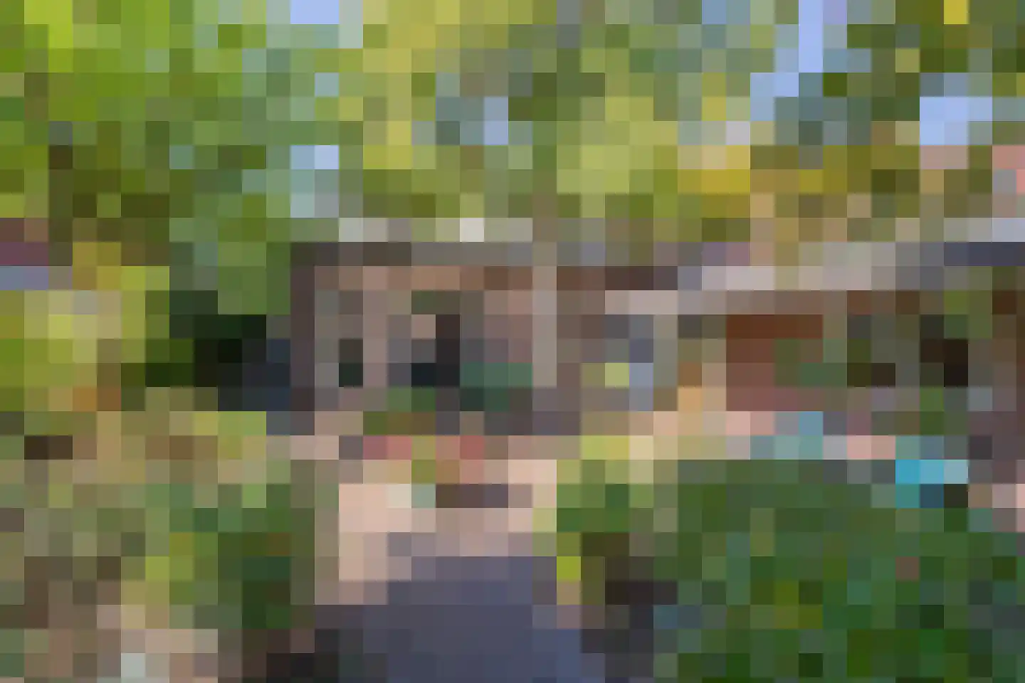 Wilhelminastraat 50 Noordwijk thumbnail 4