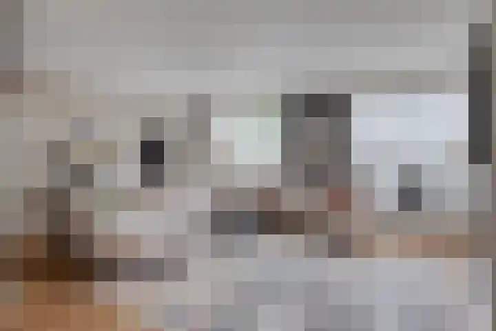 Wilhelminastraat 50 Wemeldinge thumbnail 11