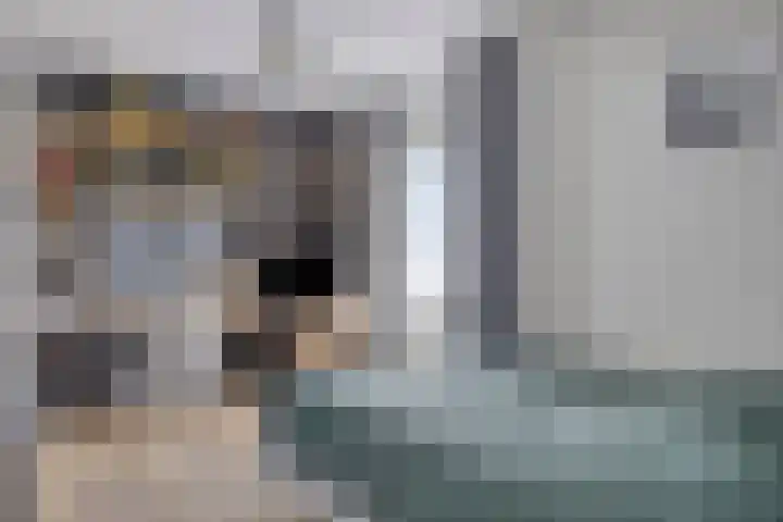 Wilhelminastraat 50 Wemeldinge thumbnail 18