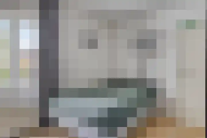 Wilhelminastraat 50 Wemeldinge thumbnail 19