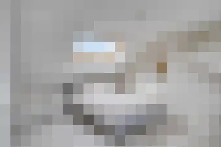 Wilhelminastraat 50 Wemeldinge thumbnail 22