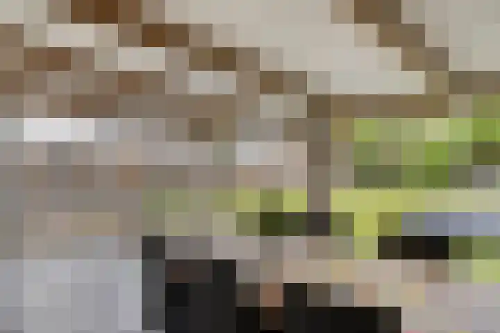 Wilhelminastraat 50 Wemeldinge thumbnail 25