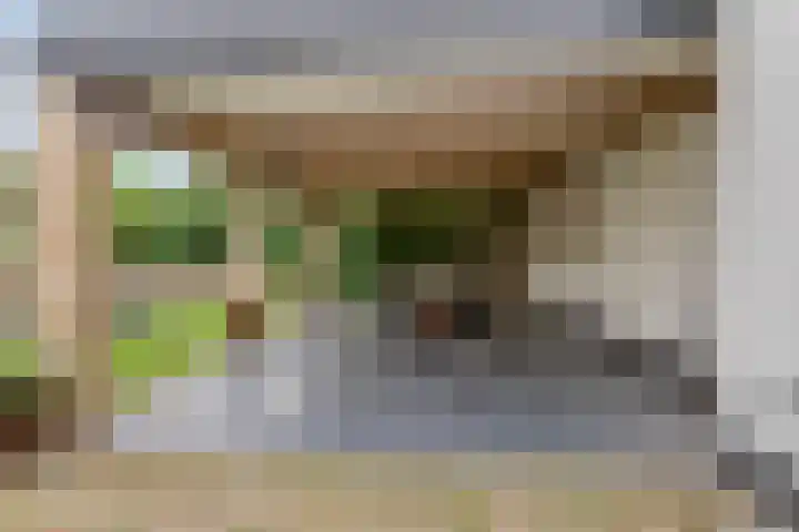 Wilhelminastraat 50 Wemeldinge thumbnail 26