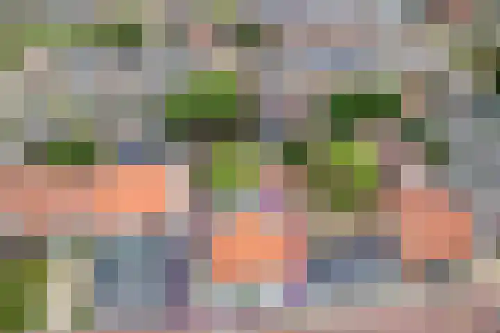 Wilhelminastraat 50 Wemeldinge thumbnail 30